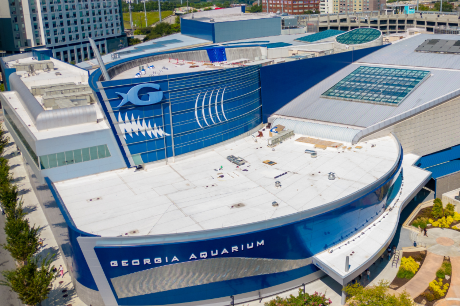Immersive Experiences: AV over IP at the Georgia Aquarium