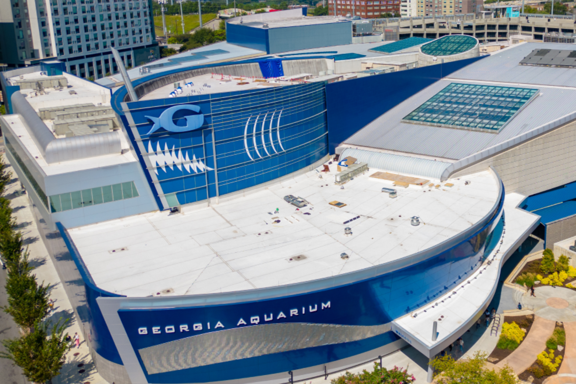 Immersive Experiences: AV over IP at the Georgia Aquarium