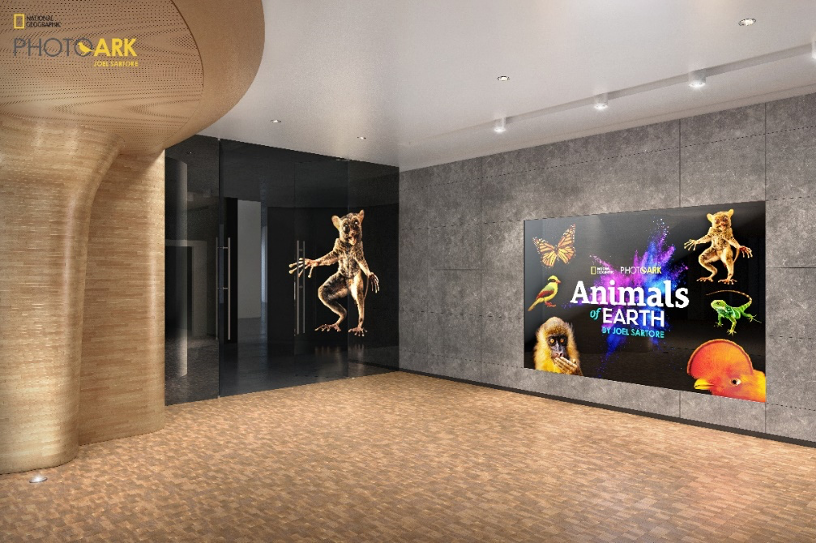 Powering the Visual Journey Behind National Geographic’s Photo Ark: Animals of Earth
